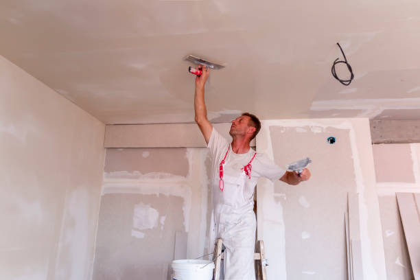 Best Wallpaper Removal and Painting  in Warrior, AL